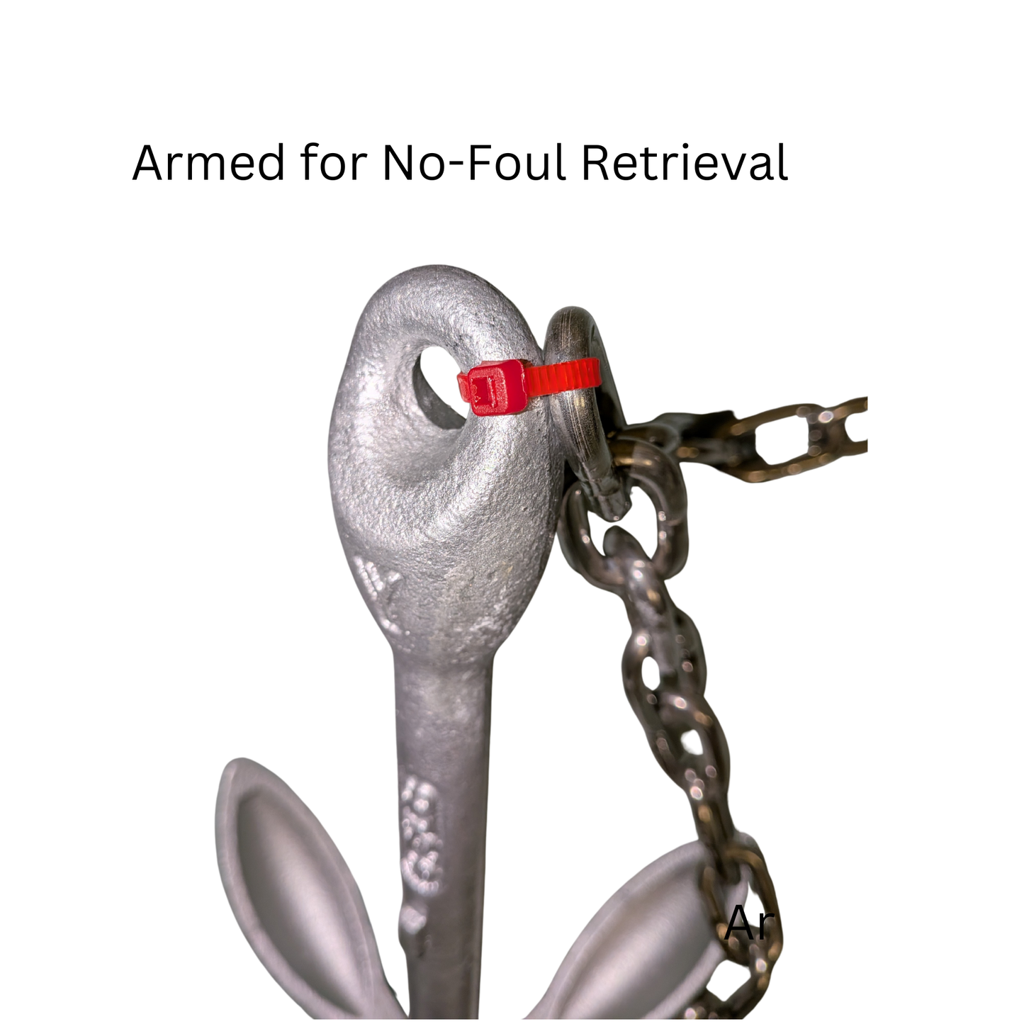 TWS Double-Duty Anchor