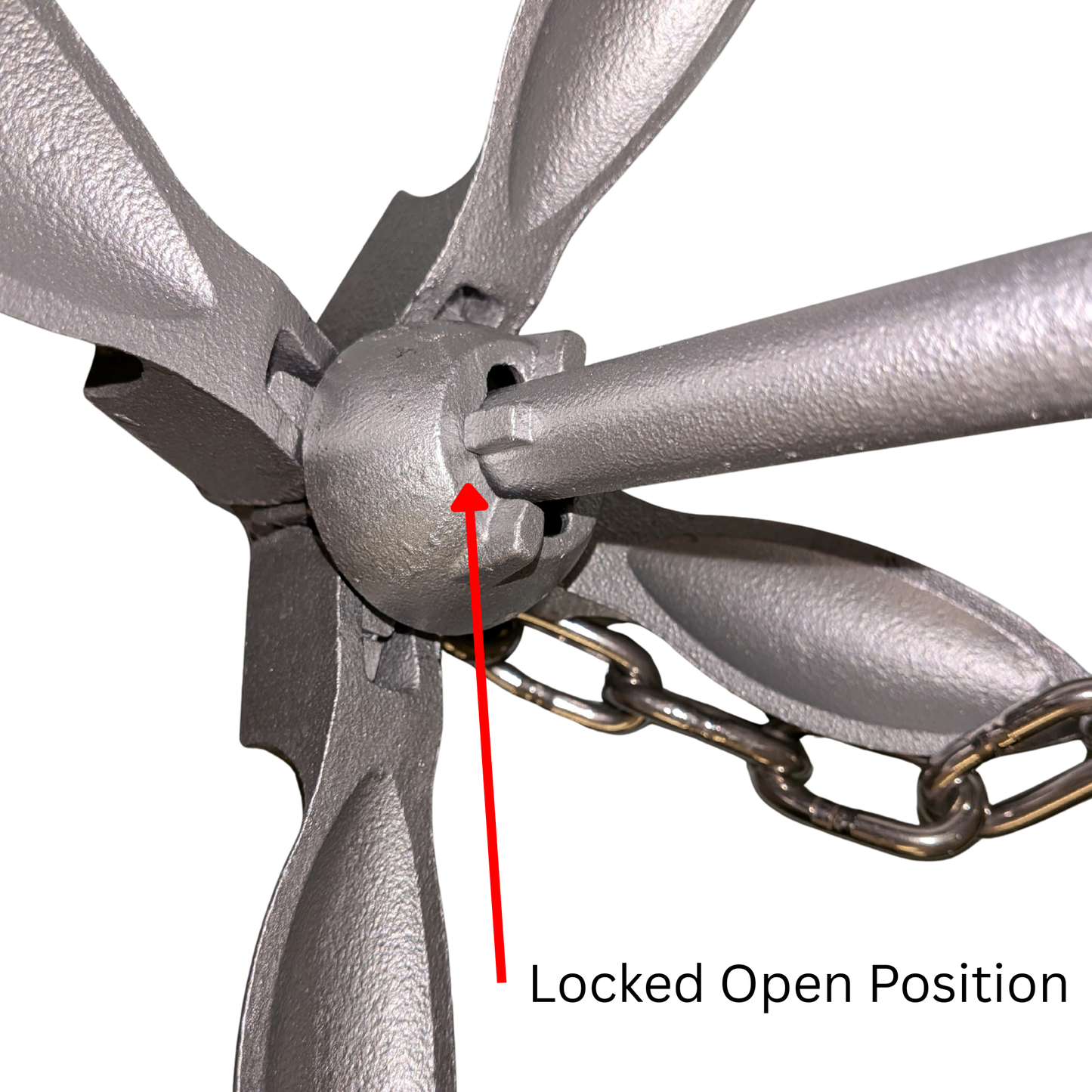 TWS Double-Duty Anchor
