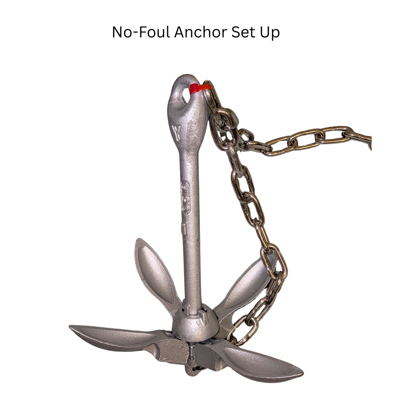 TWS Double-Duty Anchor